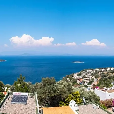 Gorgeous House With Amazing View Near Sea In Bodrum Villa *