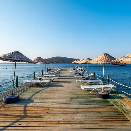 Gorgeous House With Amazing View Near Sea In Bodrum Golturkbuku
