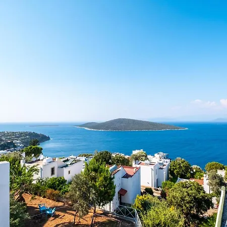 Villa Gorgeous House With Amazing View Near Sea In Bodrum *