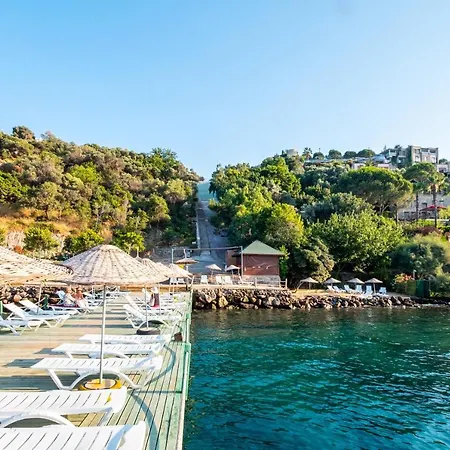 Villa Gorgeous House With Amazing View Near Sea In Bodrum *